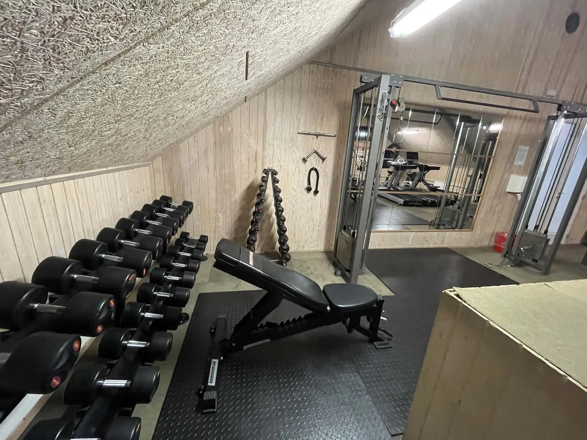 Håndvægte og træningsbænk